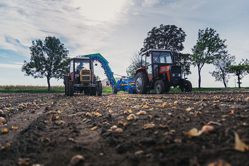 MD KR Zwiebelsammler Z437