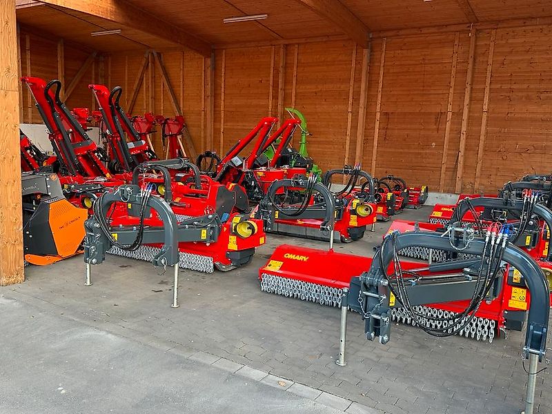 Omarv Böschungsmulcher Ausleger Torino Schlegelmulcher Mulcher