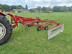 Lely Hibiscus 455