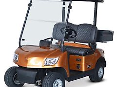 IcoCar Birdie Cargo 3.0 "DeLuxe" Vorführfahrzeug