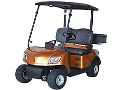 IcoCar Birdie 3.0 "Cargo" Transportcar der Sonderklasse ICO CAR