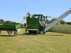 Willemsen FF7/5 W-ZW