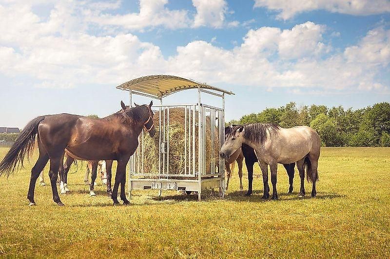 MC-AGRI Futterraufe für Pferde verzinkt mit 12 Stellen M2/12