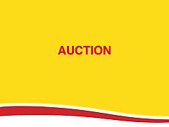 LIVE HYBRID AUCTION Starts online Friday 9th October