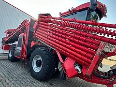 Holmer Terra Felis 3 evo
