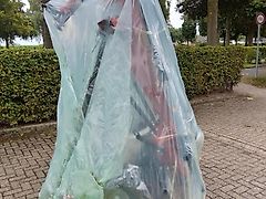 Vicon Andex 394