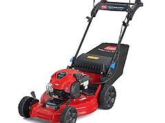 Toro