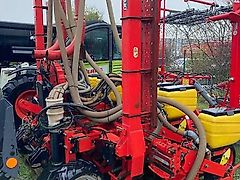 Breviglieri Einzelkorn Mais