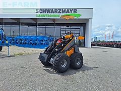 Giant gs900 skid