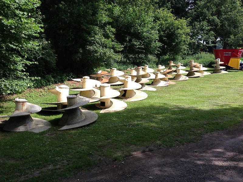 Siloking Schnecken in verschiedenen Größen