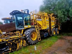 ROPA TIGER 6