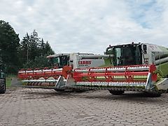 Claas Claas Lexion Mega Tucano Adaptacja do słonecznika De Girasol Sunflower Suncokret Napraforgó Sonnenblumen vorsatz Floarea Soarelui Slunečnice Sonnenblumenschneidwerk