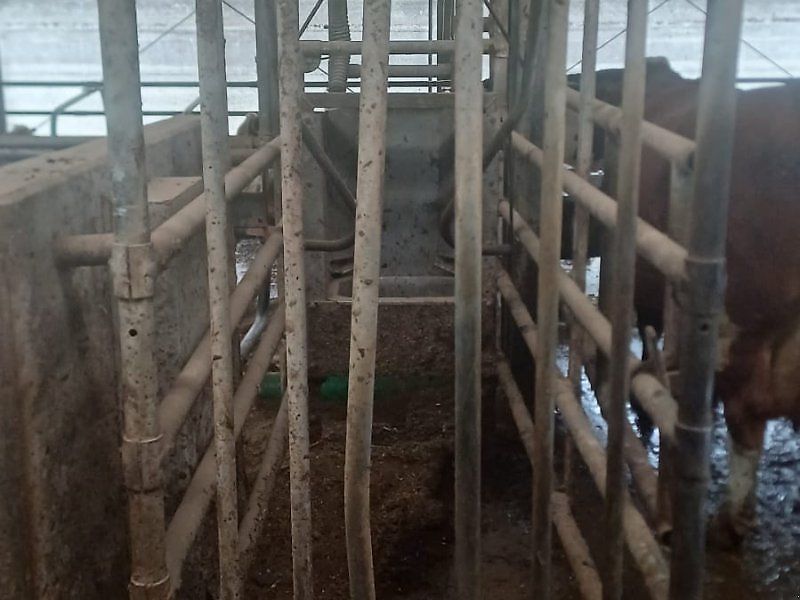 Melkstand Lemmer Fullwood Fullwood