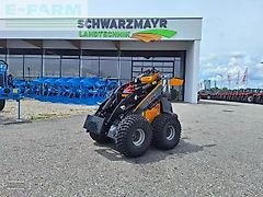 Giant gs900 skid