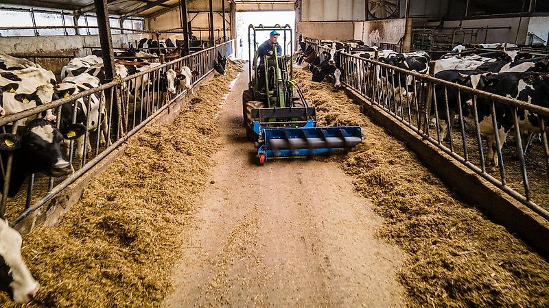 Euromilk Viper 1200-Futterschnecke