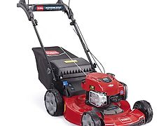 Toro