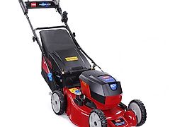 Toro