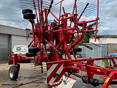 Lely Hibiscus 725