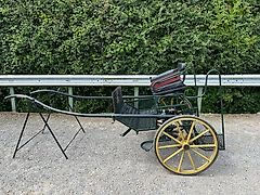 Bennington Buccaneer Competitor