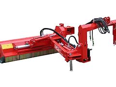 Concept Perugini DSF 220