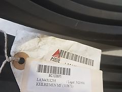 Massey Ferguson Keilriemen für Einzugskanal