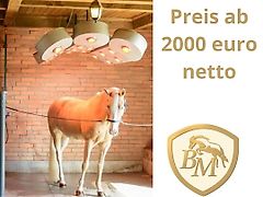 BM Horse Pferde Solarium