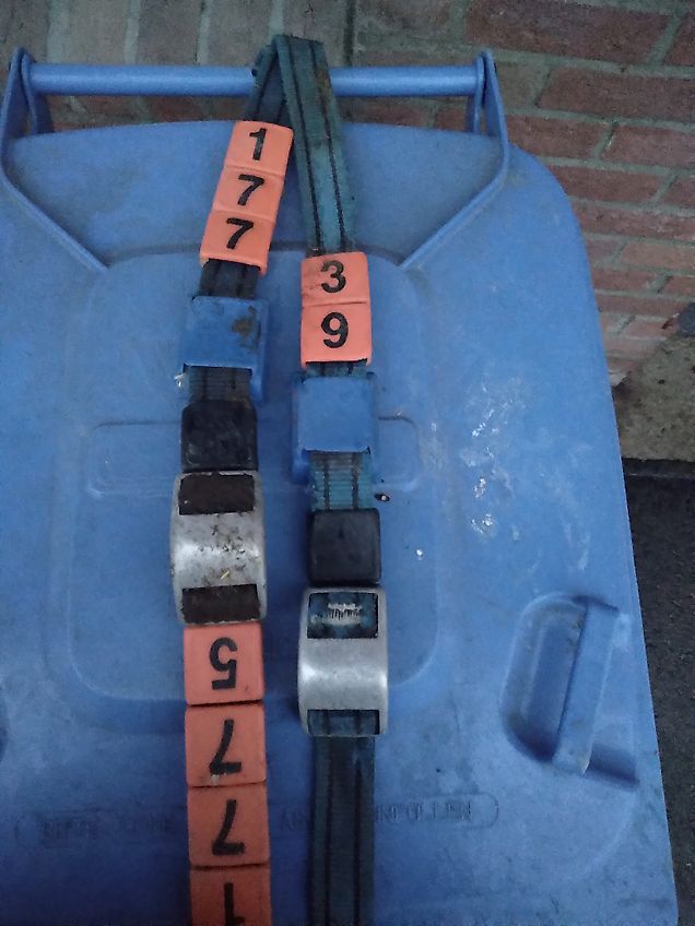 Alfa Laval Halsband mit transponder