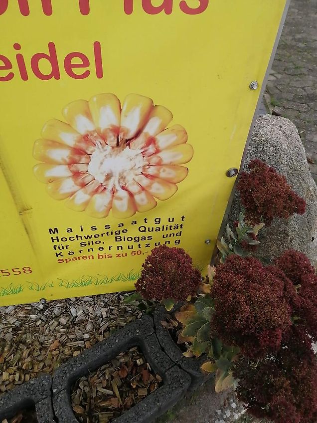 Amazone Howard Stützräder 500 mm mit Flanschplatte Stützräder mit Halterungen Befstigungsmaterial zur exaktren Tiefenführung von Stützrädern geschraubter Grubberstil passen für Howard Grubber Ballastplatten Koffergewichte