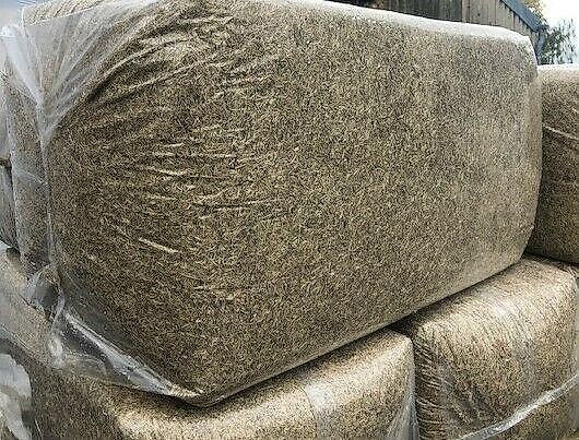 Leinstroh Flachs Einstreu Klein-und Großtiere Pferde Hasen usw.