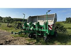 Agronomic RBS TH
