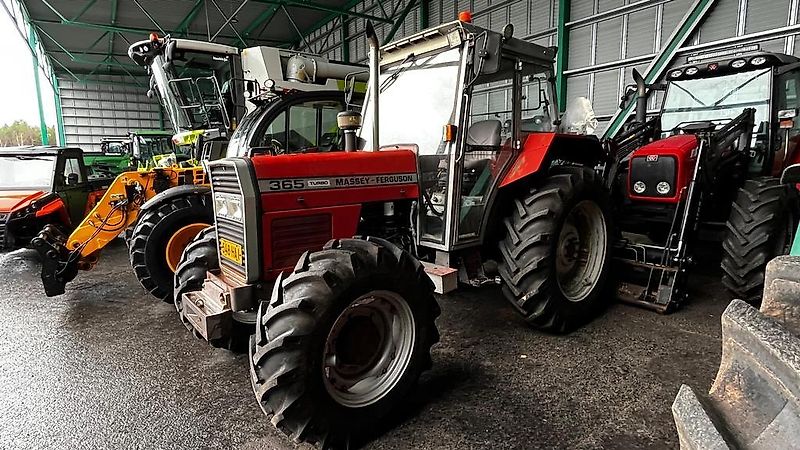 Massey Ferguson 365-4 TURBO
