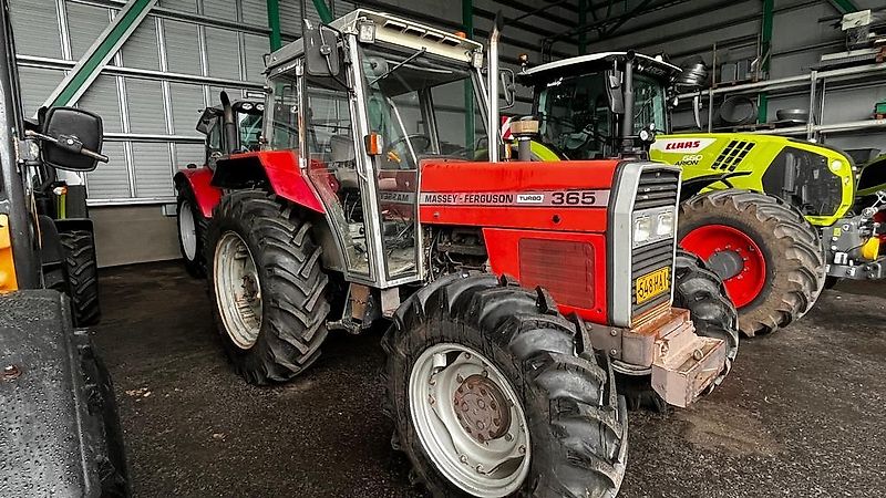 Massey Ferguson 365-4 TURBO