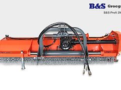 B&S Profi 290H