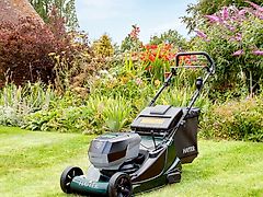 Hayter Harrier 48