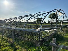Poly Tunnels - 2 Available - 23 and 42 Ring
