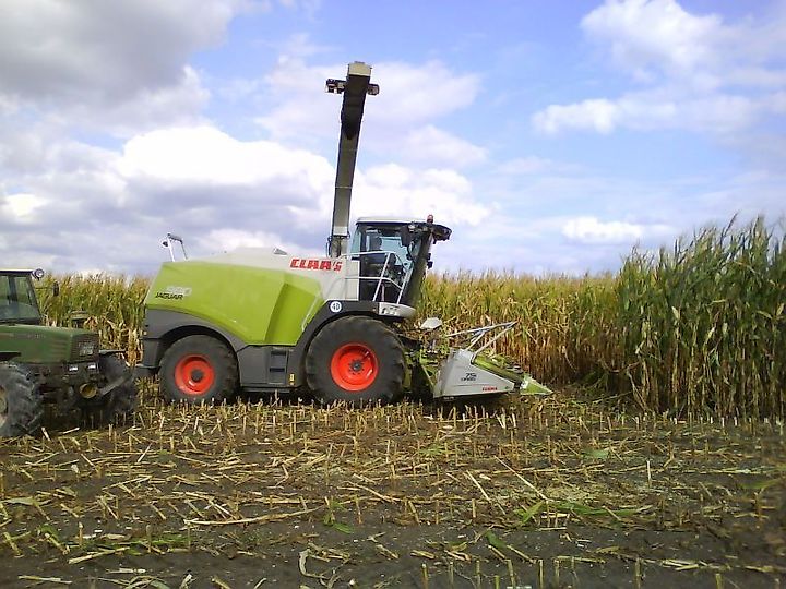 Used Claas Forage harvesters for sale - tractorpool.co.uk